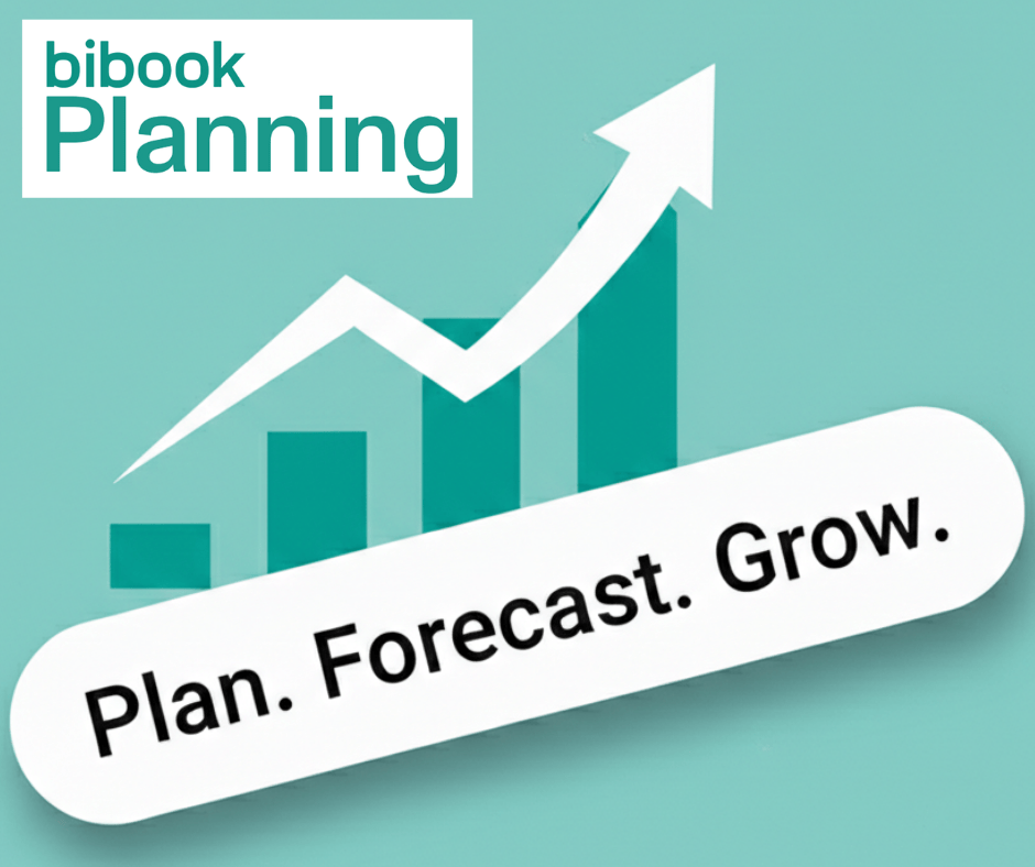 ‍Financial Planning Made Easy: How LHKK Turned Financial Complexity into Operational Speed with BI Book