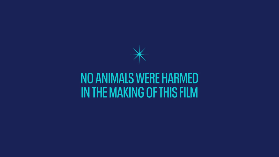 a blue background with the words no animals were harmed in the making of this