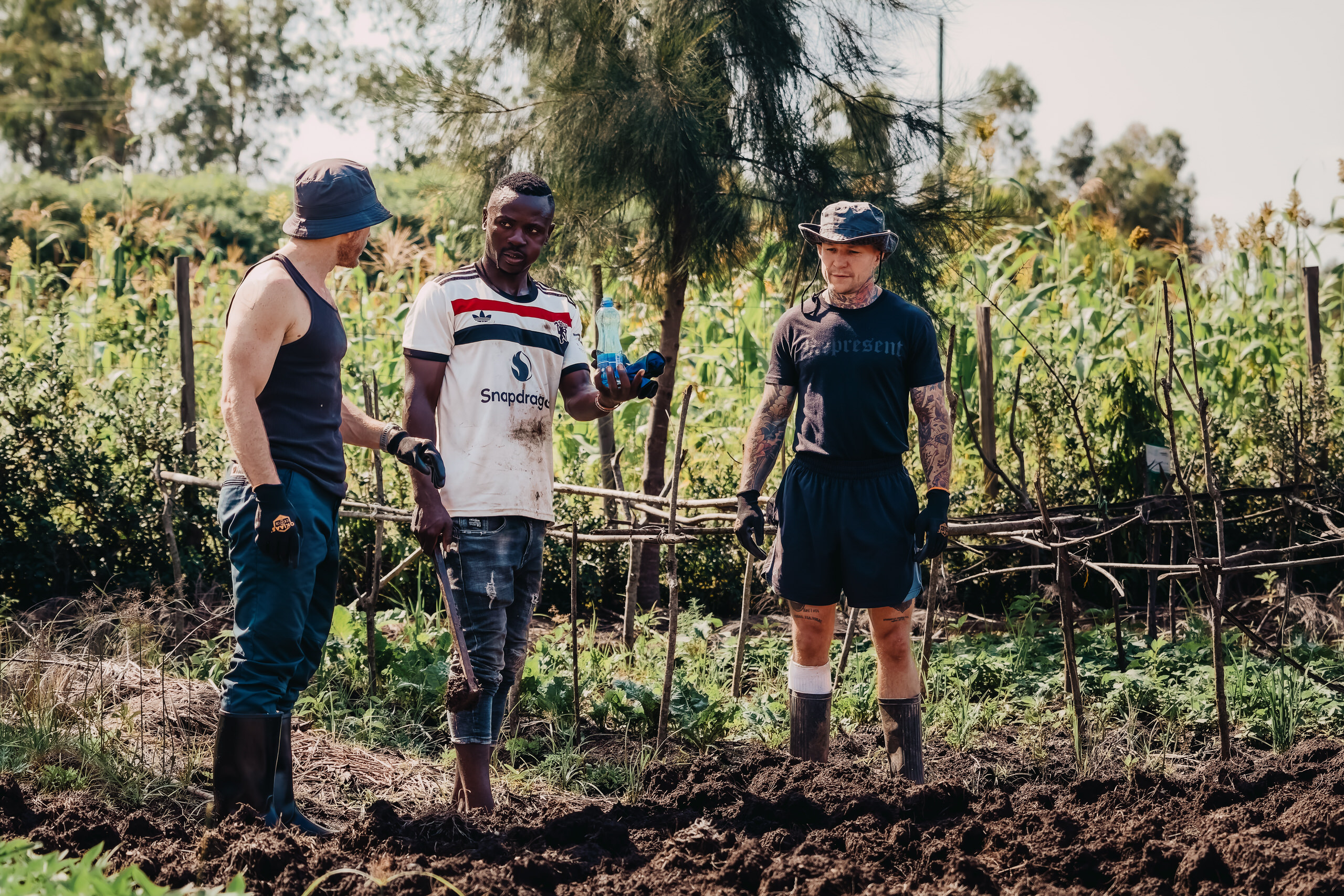 Three men working together in a garden with agricultural tools