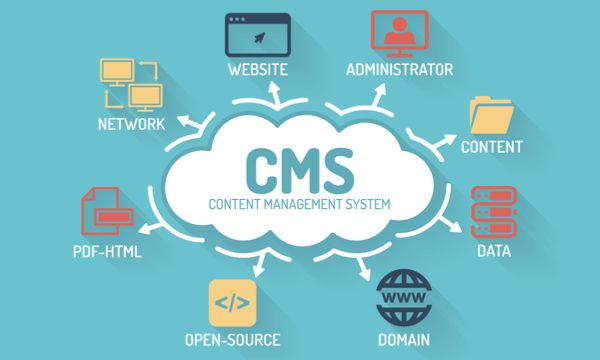  Infographic shows example of content management system