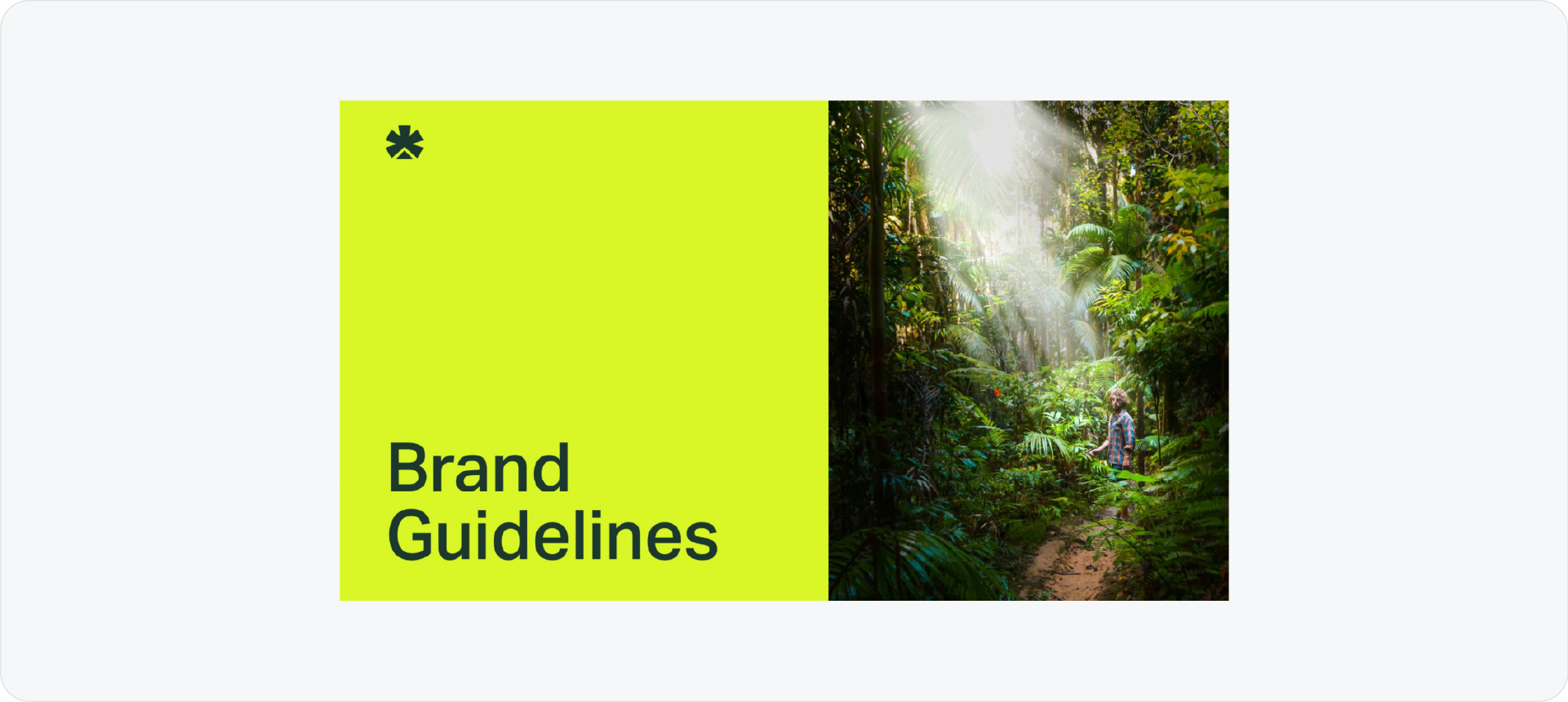 Environex brand guidelines cover with a split layout of bright lime green and a nature photograph.