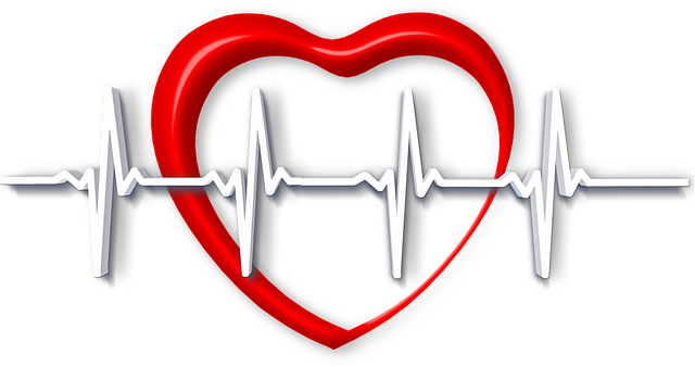 Why Dr. Hamawi Is the Best Partner for Managing Weight and Building Lasting Health