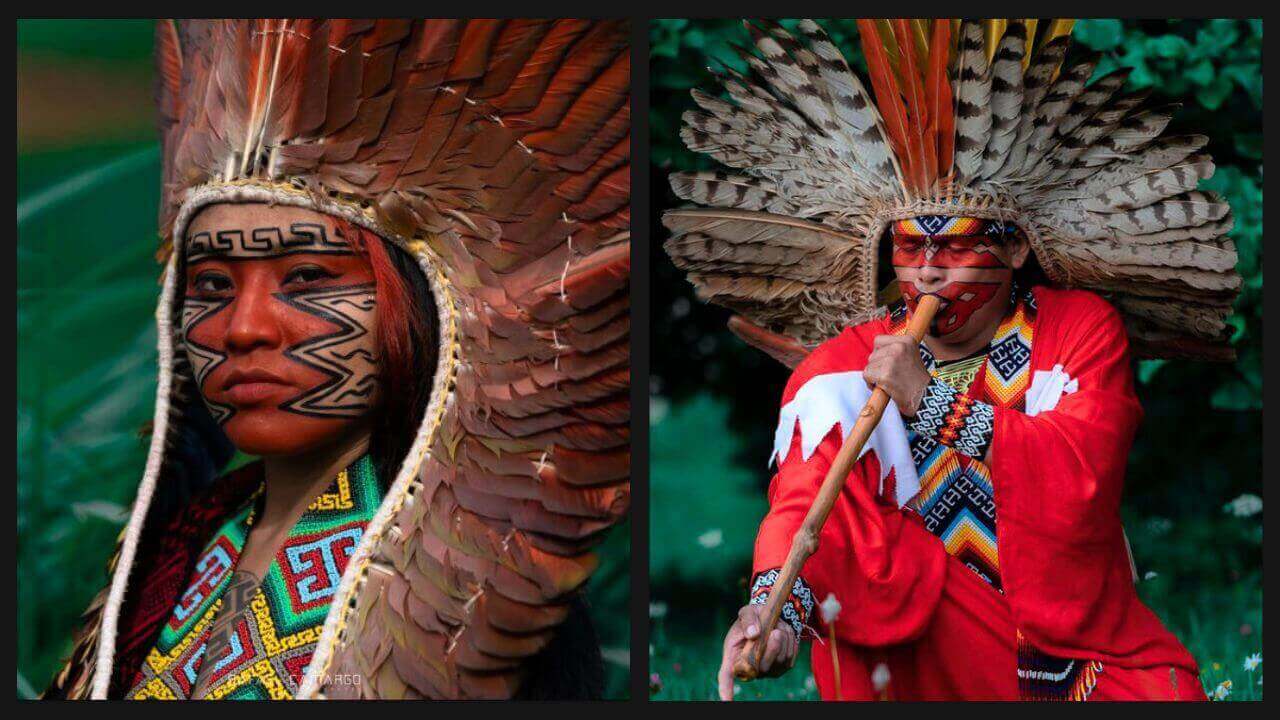 Tuim Nova Era and Yeke as Guardianes of the Forest