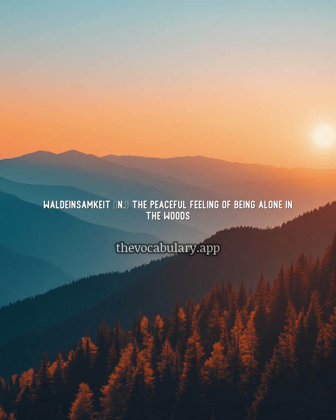 waldeinsamkeit — the peaceful feeling of being alone in the woods
