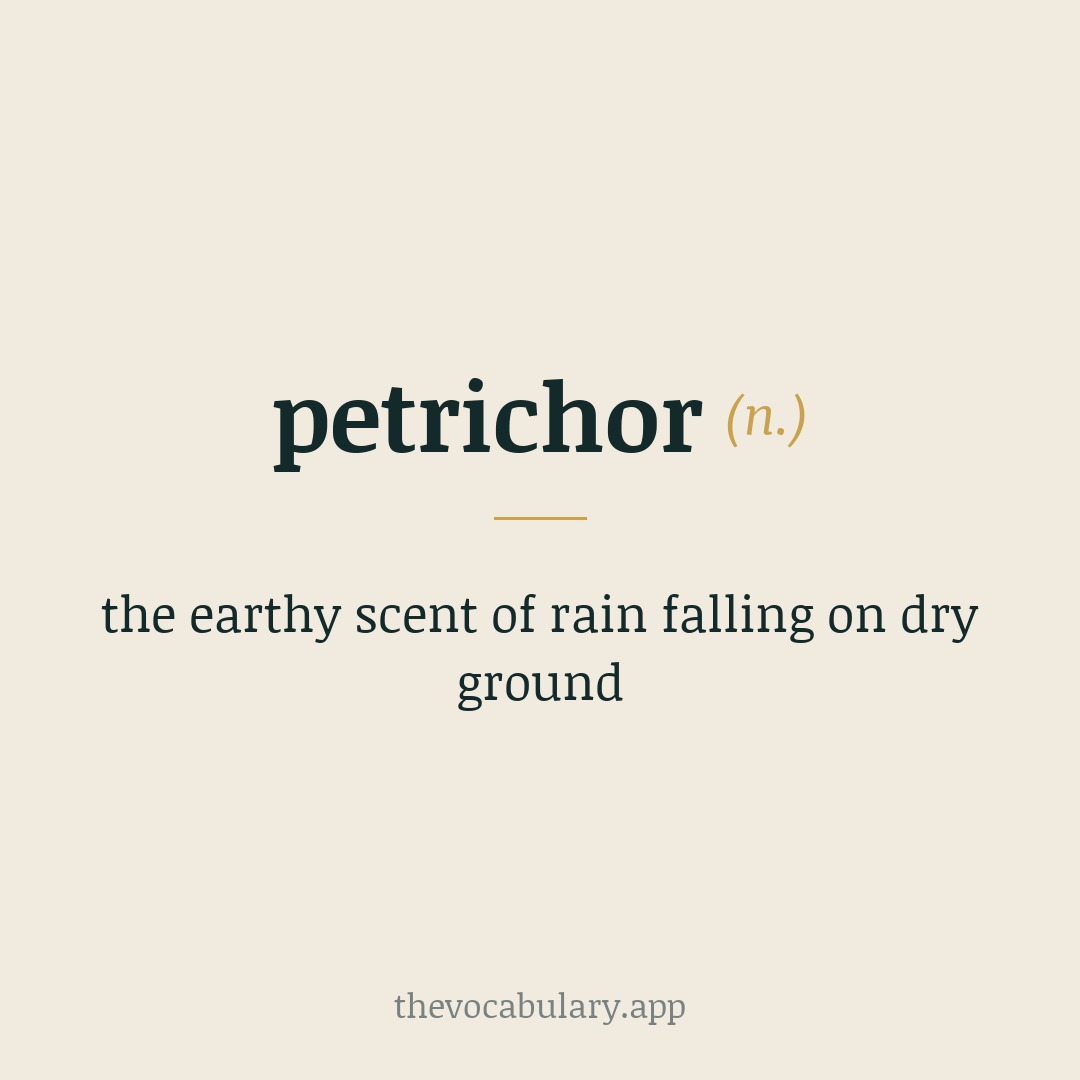 petrichor — the earthy scent of rain falling on dry ground