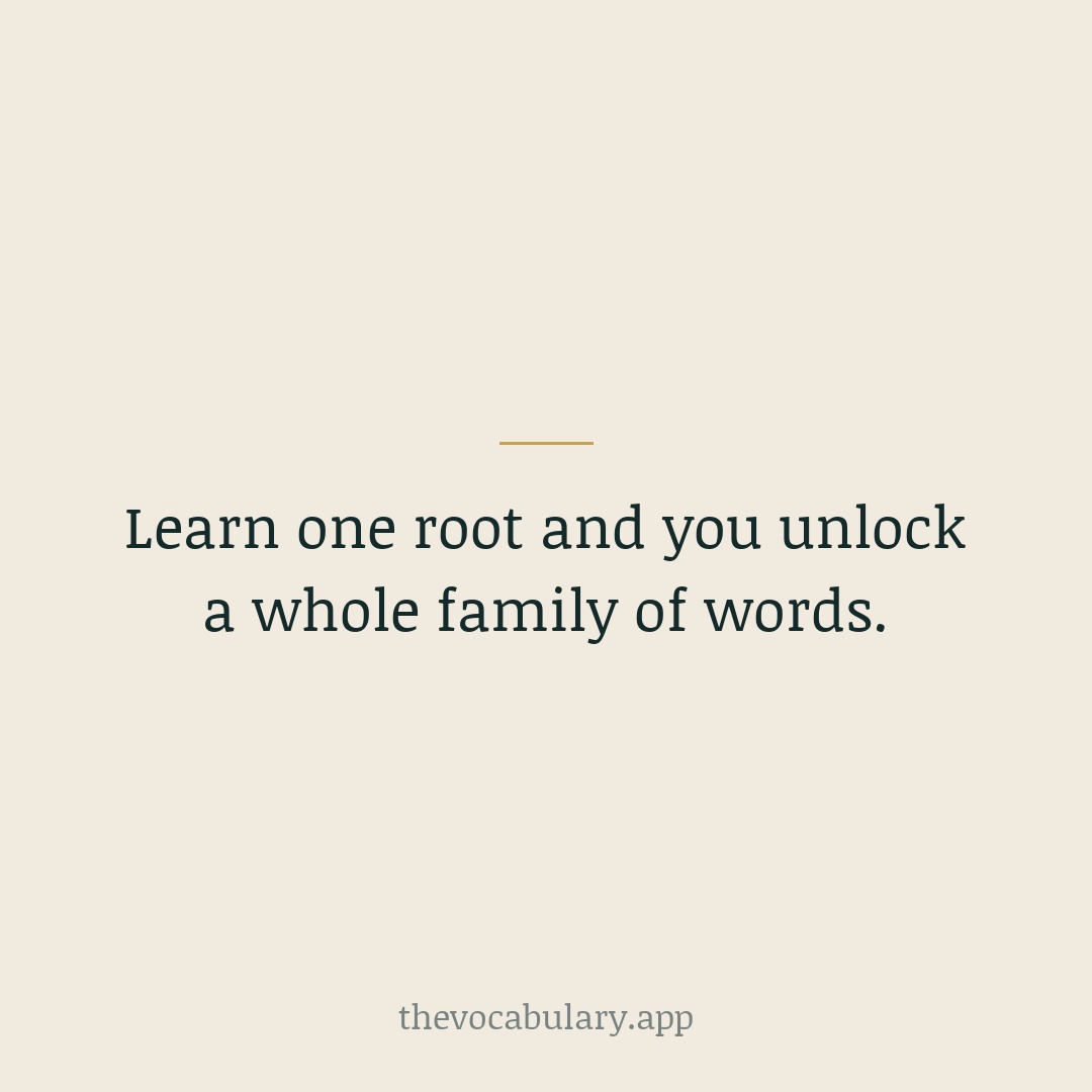 Learn one root and you unlock a whole family of words.