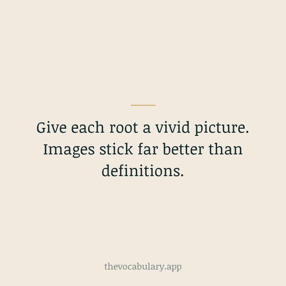 Give each root a vivid picture. Images stick far better than definitions.