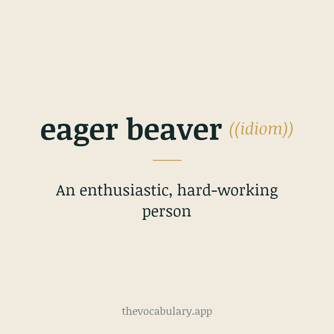 eager beaver — an enthusiastic, hard-working person