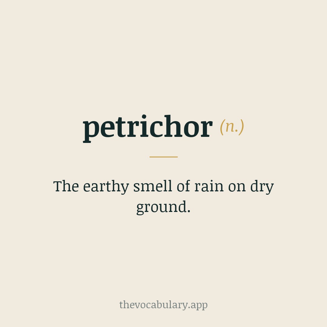 petrichor (n.) - the earthy scent of rain on dry ground