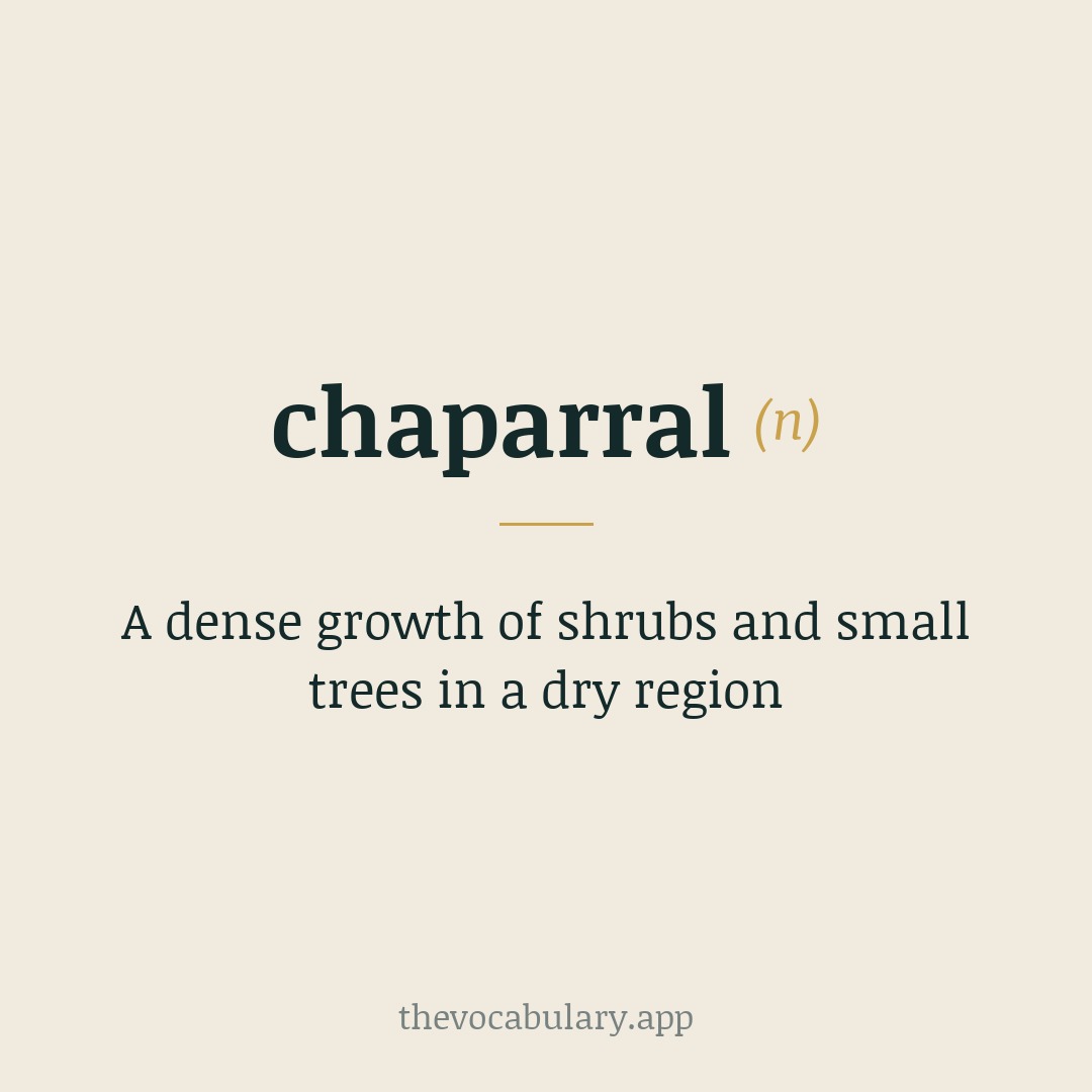 A dense growth of shrubs and small trees in a dry region — From Spanish chaparral, from chaparro 'dwarf oak', from Basque txapar "thicket".