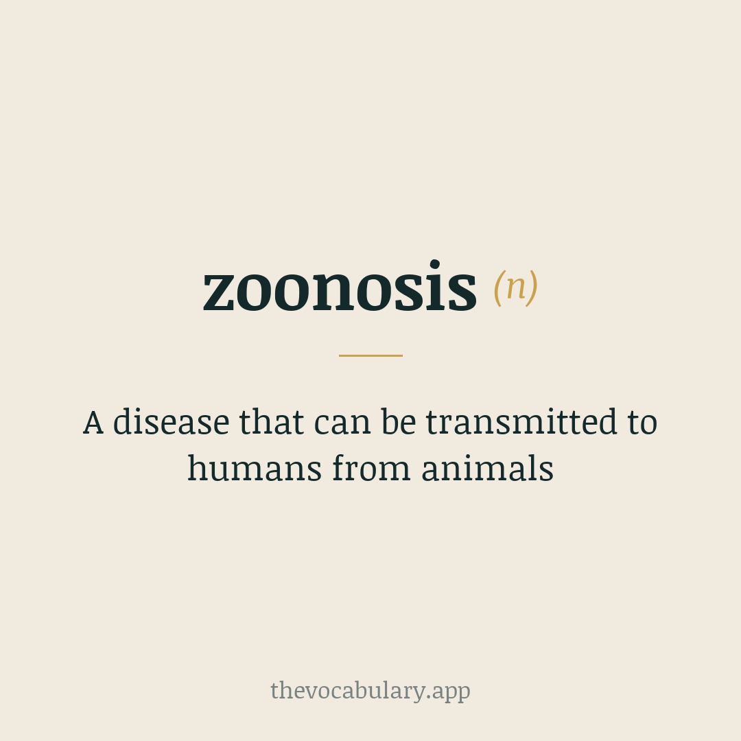 A disease that can be transmitted to humans from animals — Probably alteration by conformation to -osis from French zoonose, from zoo- and Greek nósos meaning 'disease'.
