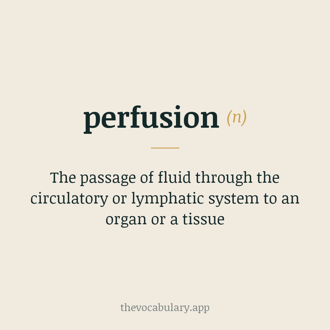 The passage of fluid through the circulatory or lymphatic system to an organ or a tissue — From Latin 'perfundere' meaning 'to pour through'.