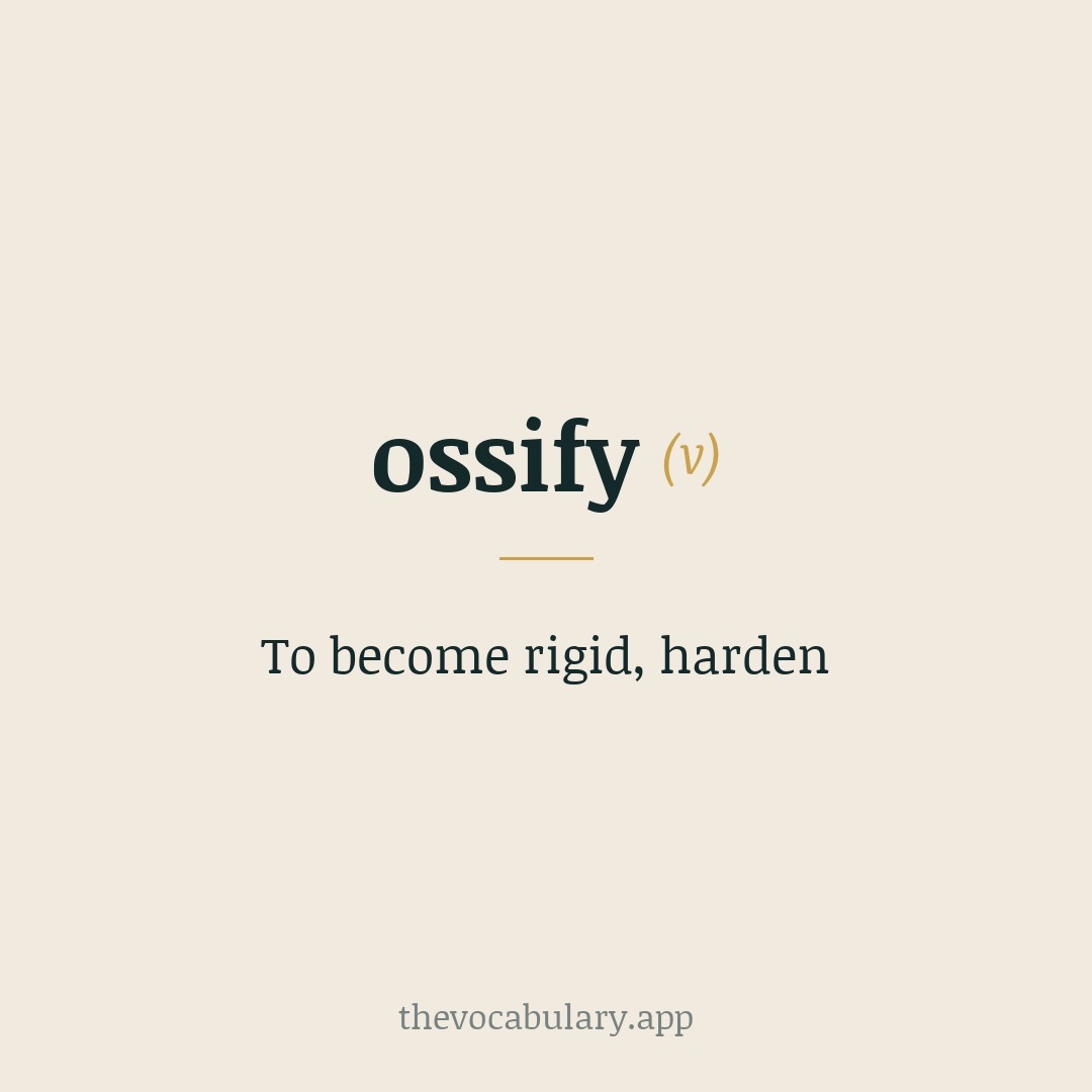 To become rigid, harden — From Latin oss-, os + English -ify.