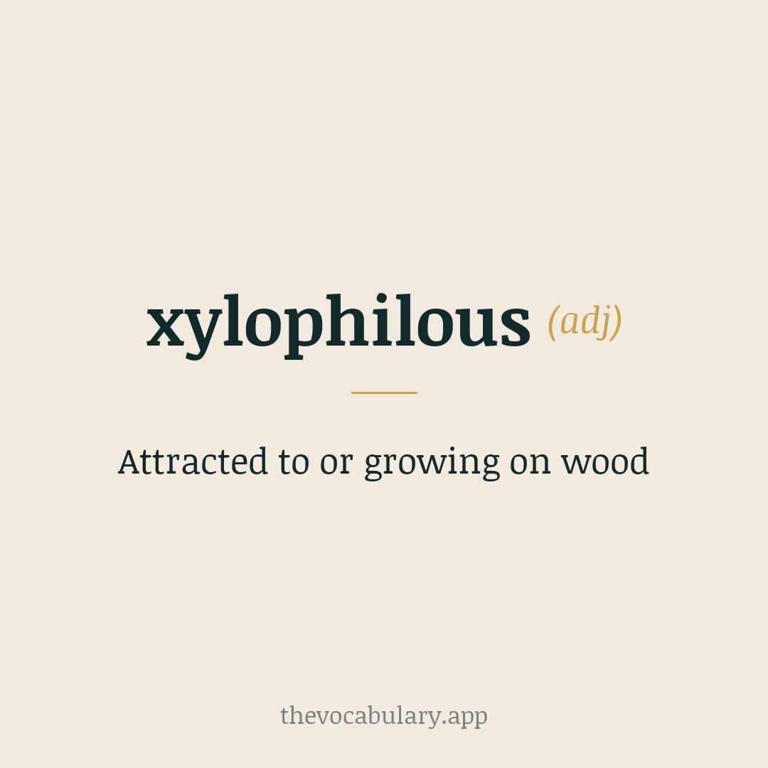 Attracted to or growing on wood — From Greek 'xylon' (wood) and 'philos' (loving).