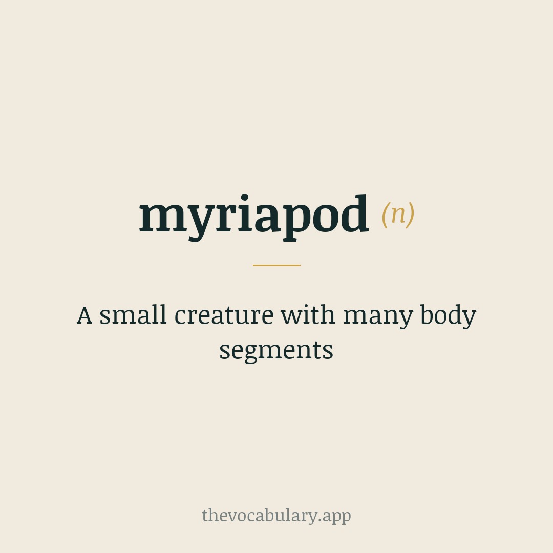 A small creature with many body segments — From Greek myrioi and pod- from pous meaning 'foot'.