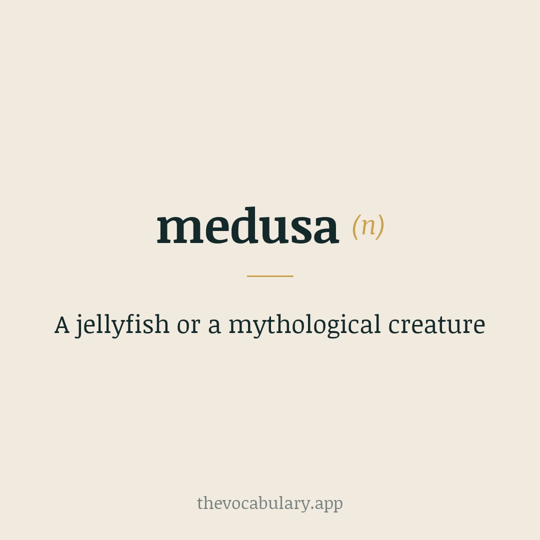A jellyfish or a mythological creature — From Greek 'Médousa', meaning 'guardian' or 'protectress'.