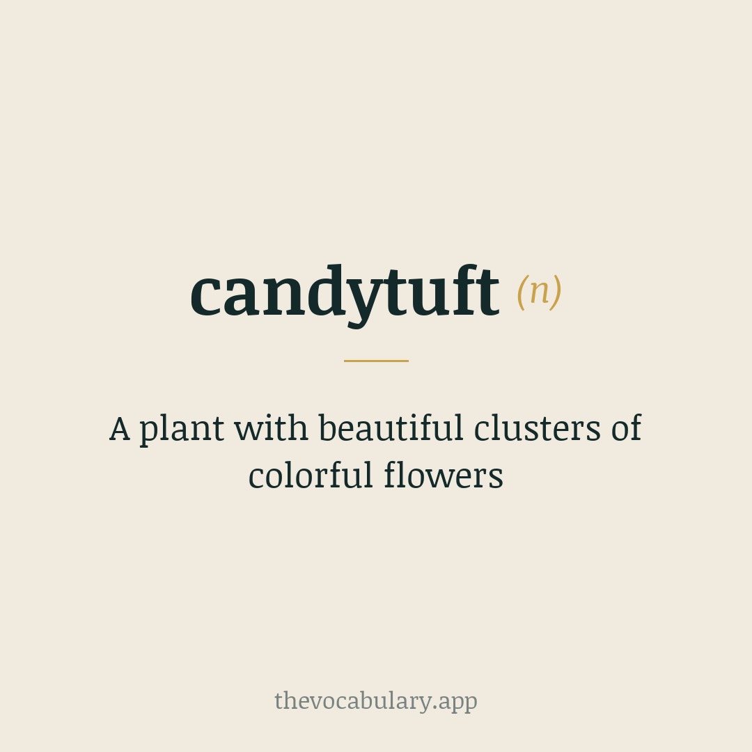 A plant with beautiful clusters of colorful flowers — From Candy, an alteration of Candia (referring to Crete, a Greek island) combined with English tuft.