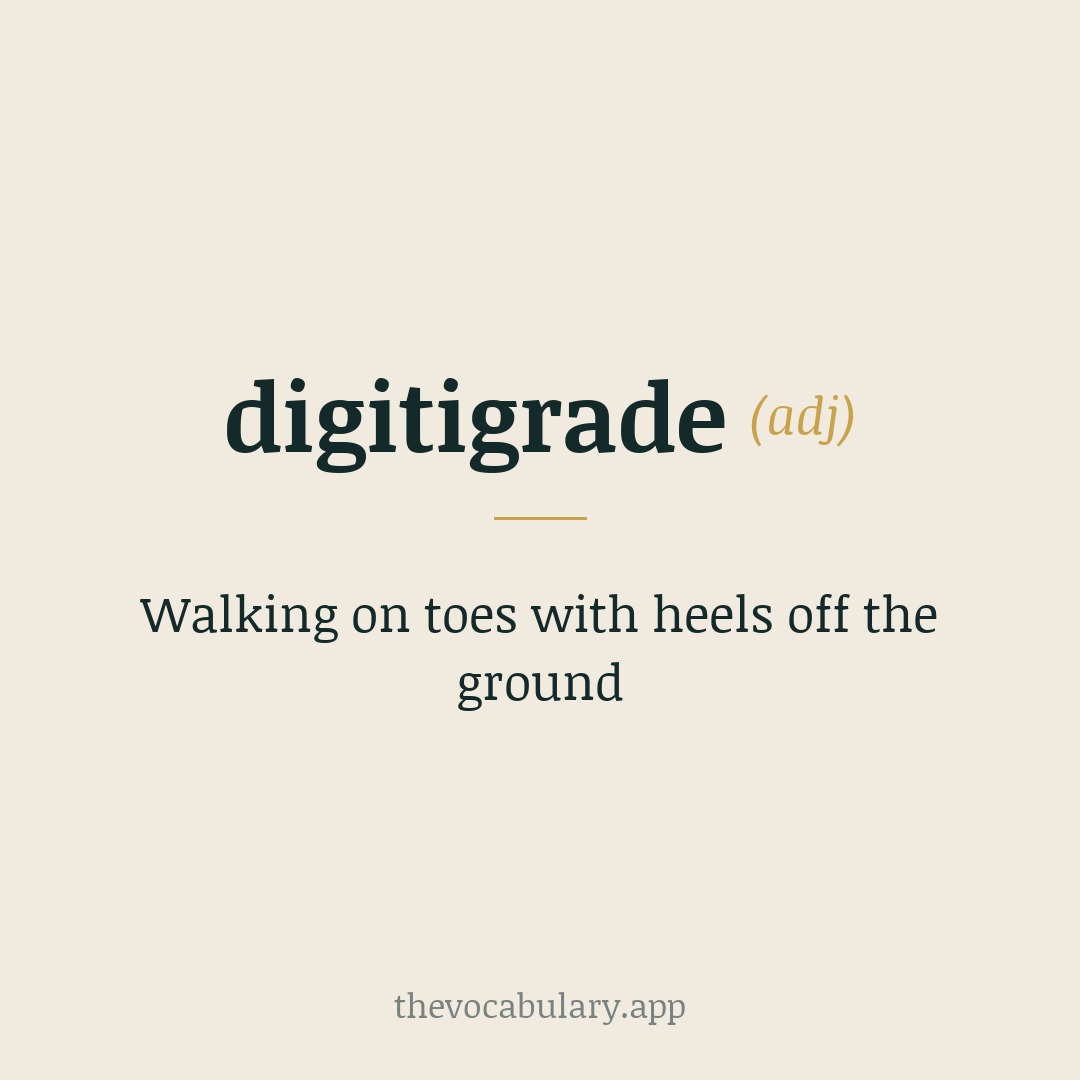 Walking on toes with heels off the ground — From Latin 'digitus' (toe) and 'gradi' (to walk).