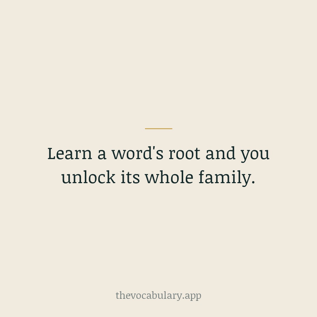 When a word has a Greek or Latin root, learn the root too. One root often unlocks a dozen related words for free.