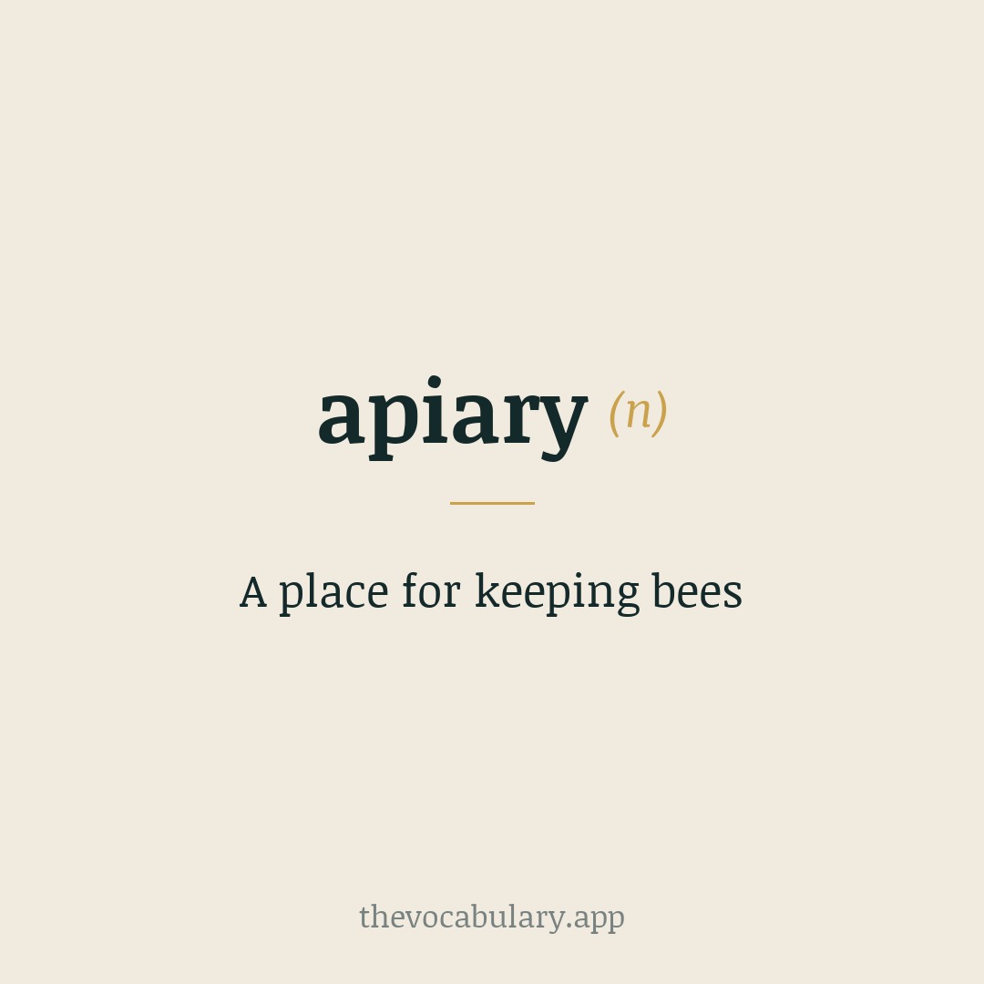 A place for keeping bees — Borrowed from Latin apiārium, from apis meaning 'bee' (of obscure origin) combined with -ārium.