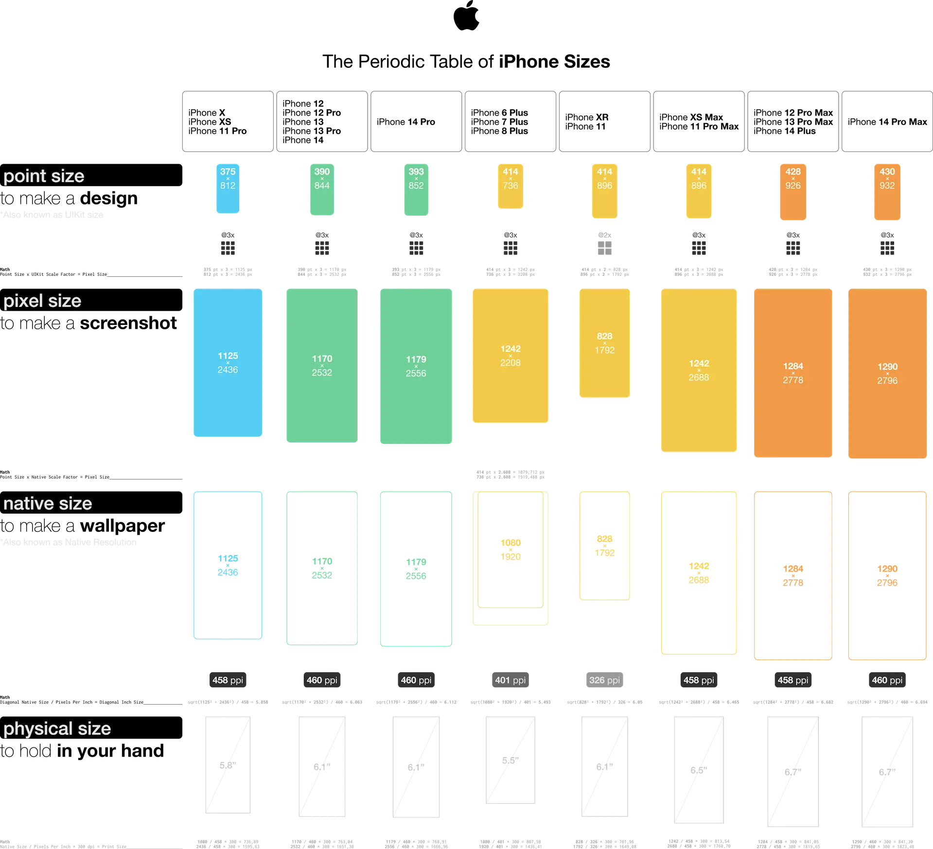 iPhone screen sizes