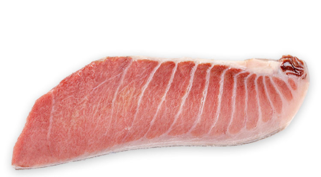 Tonijnbuik (Otoro)