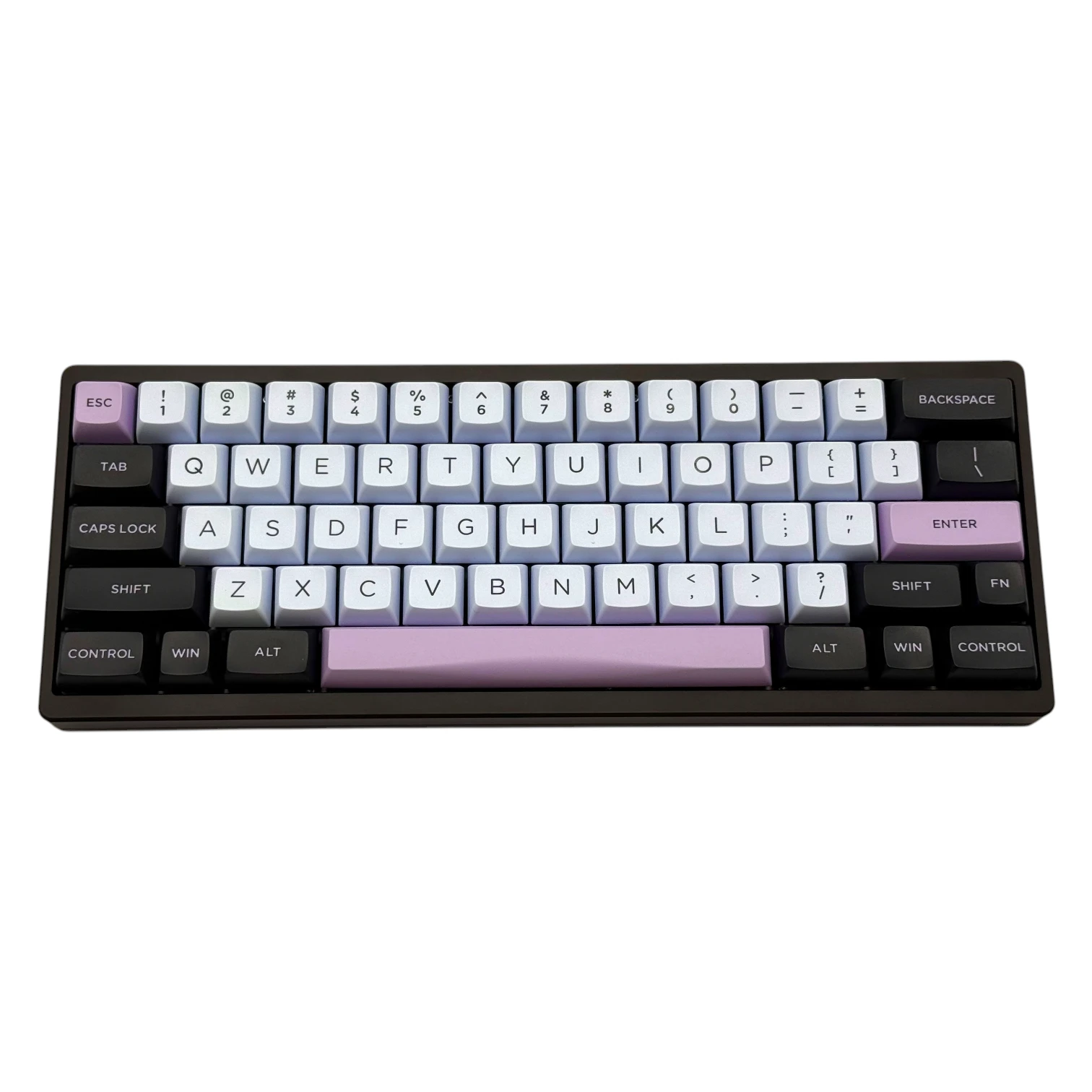 CannonCaps CXA Sugarplum