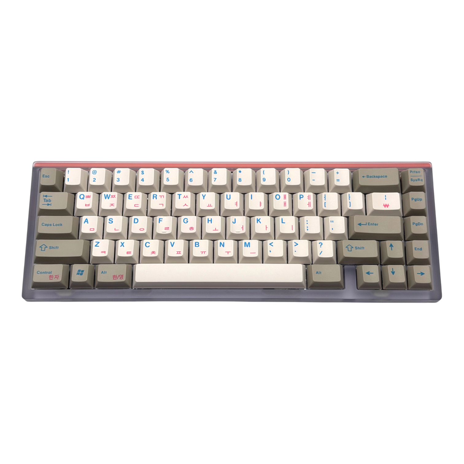 EnjoyPBT Korean Beige (Уцінка)