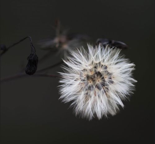 Kategori - Nære på
