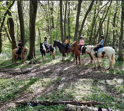 Horse Riding