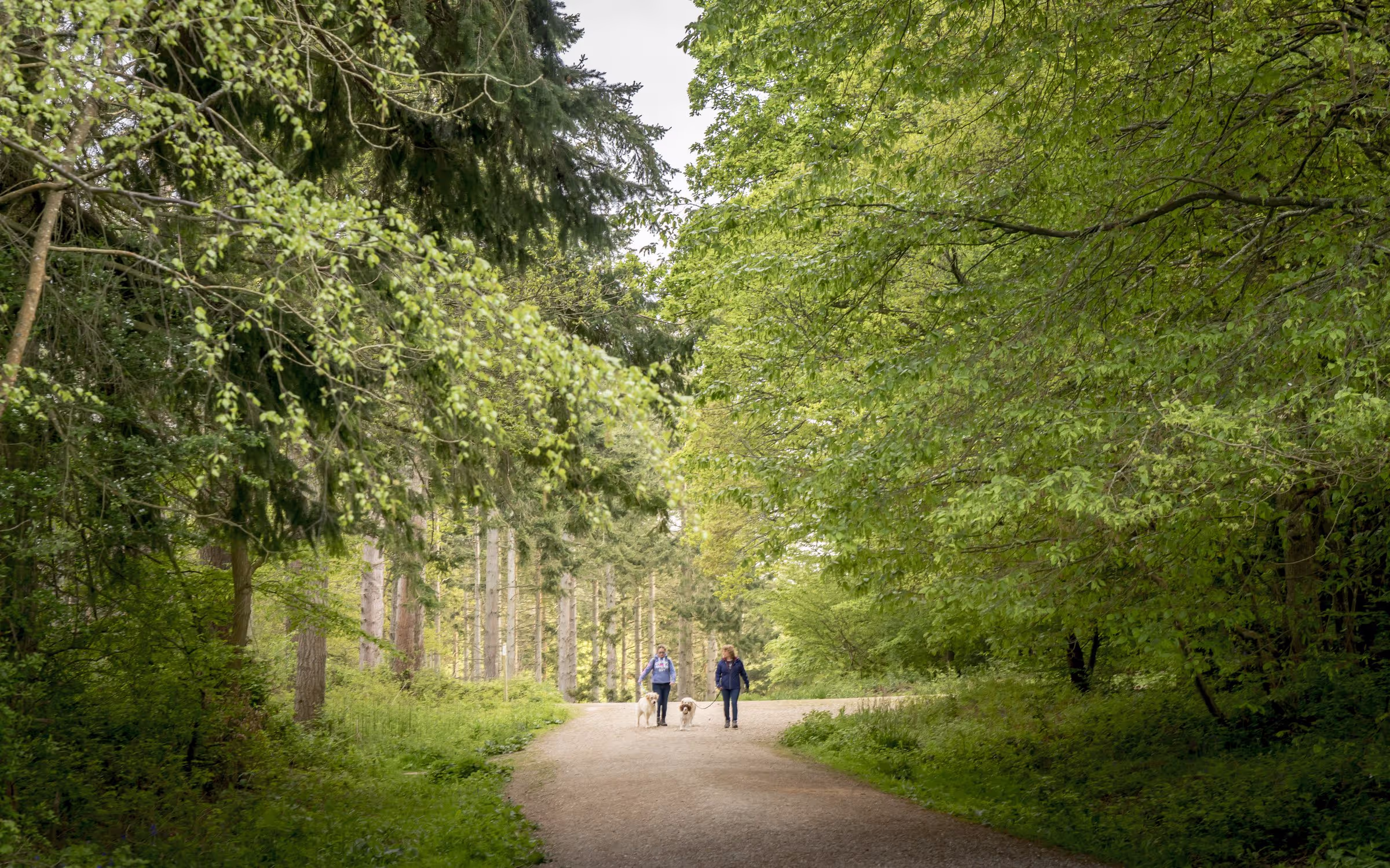 Abbots Wood Easter Picnic