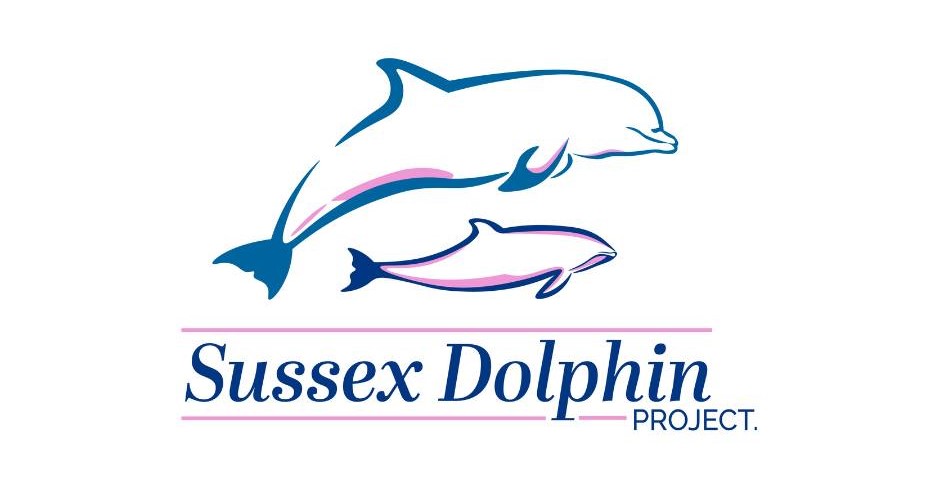 Sussex Dolphin Project Boat Tour