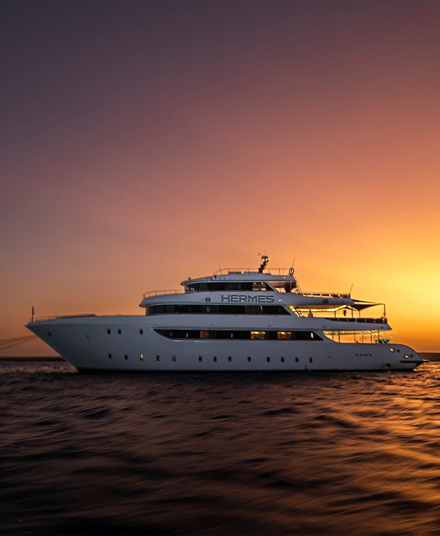 Kite Safari on the Red Sea