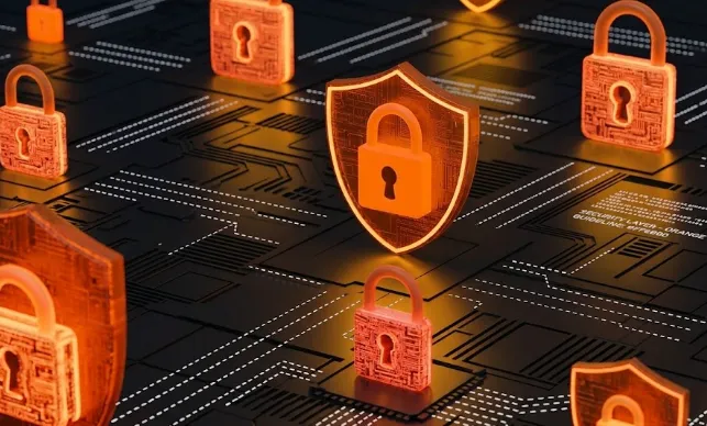 Data security shields