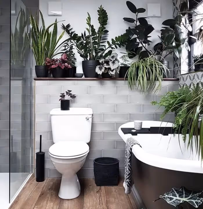 budds plumbing image 
