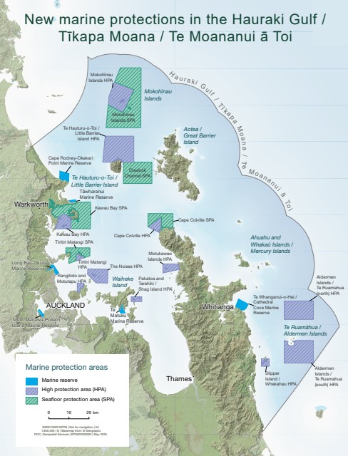 New marine protections in the Hauraki Gulf