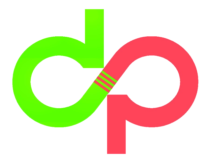 1-on-1 Training with Team DP