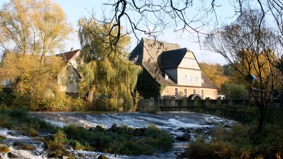 Schule & Internat Steinmühle