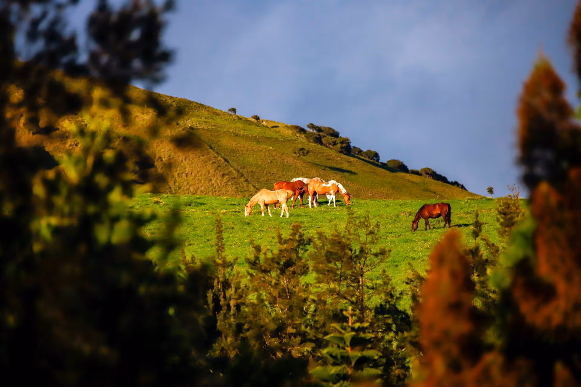 gallery-recsRgVbBfpYH9LpH-4.jpg