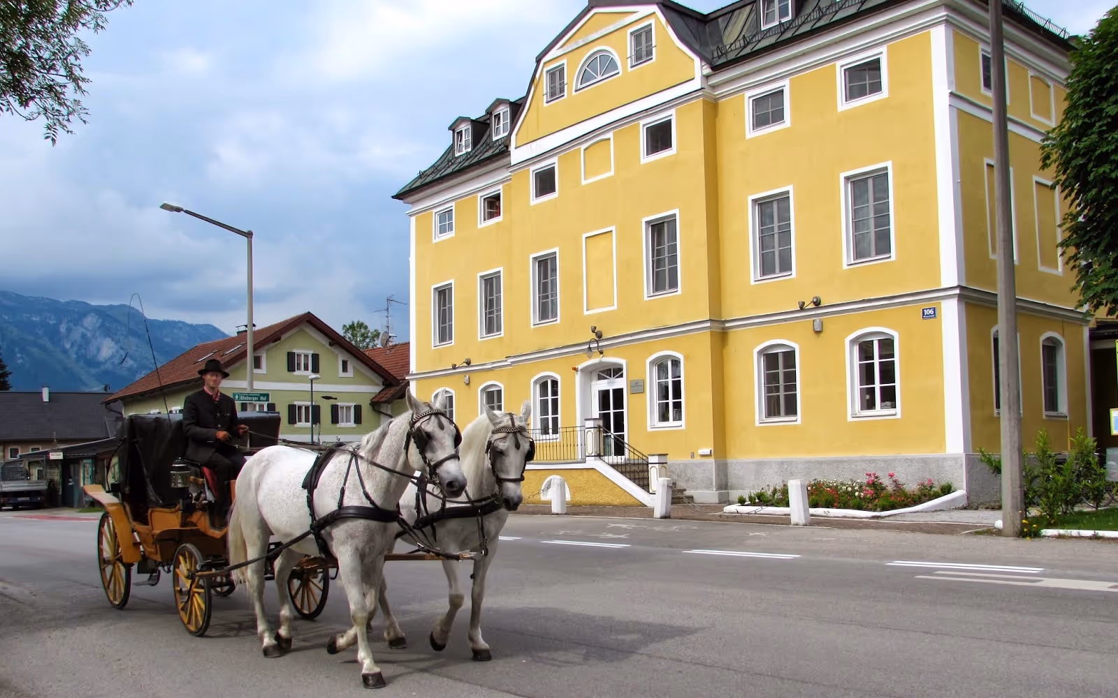 AIS-and-horses.jpg