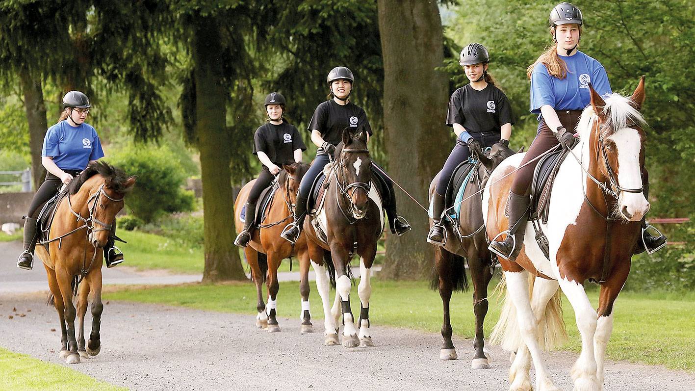 Schule & Internat Steinmühle