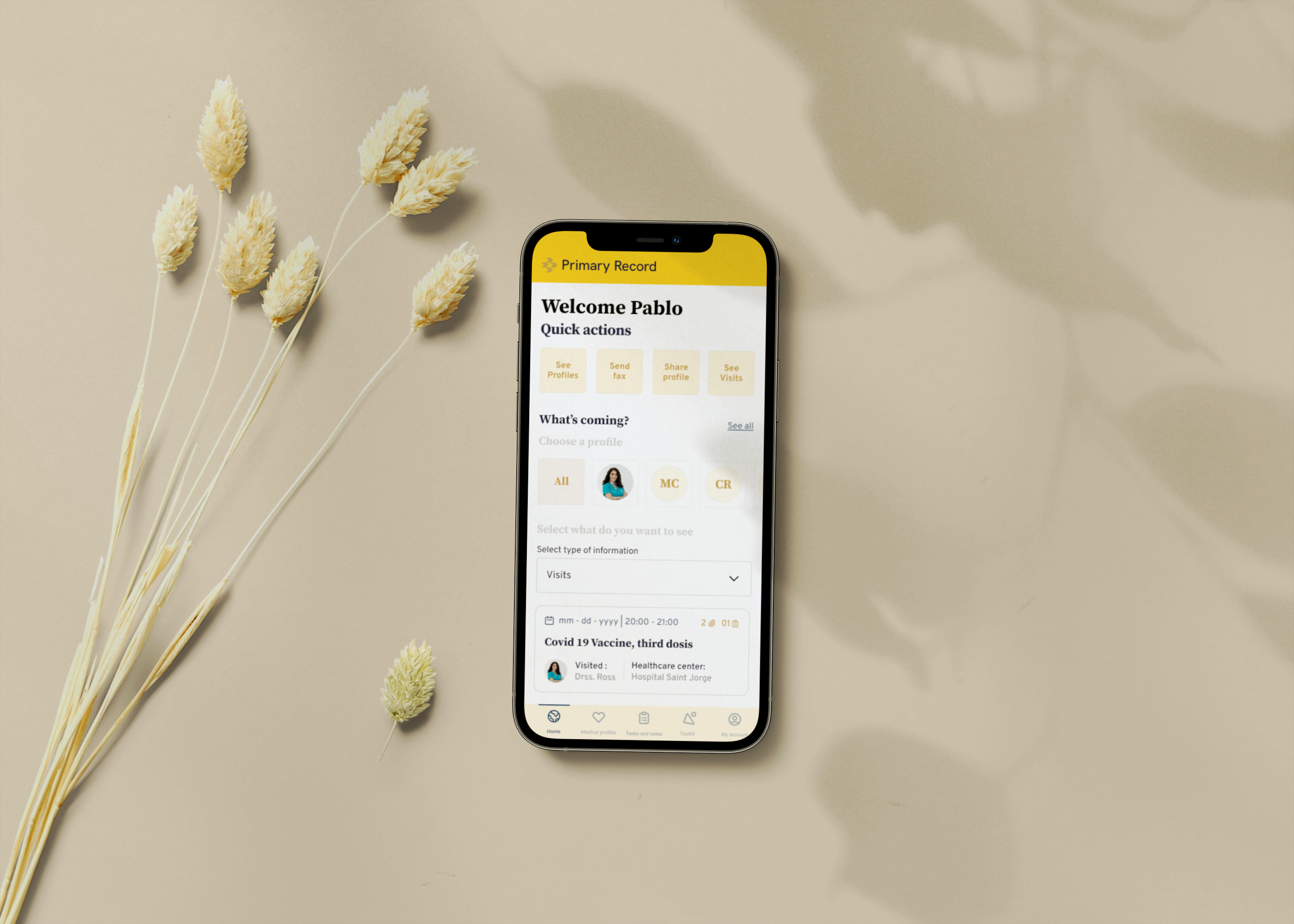 Mockup description of the project