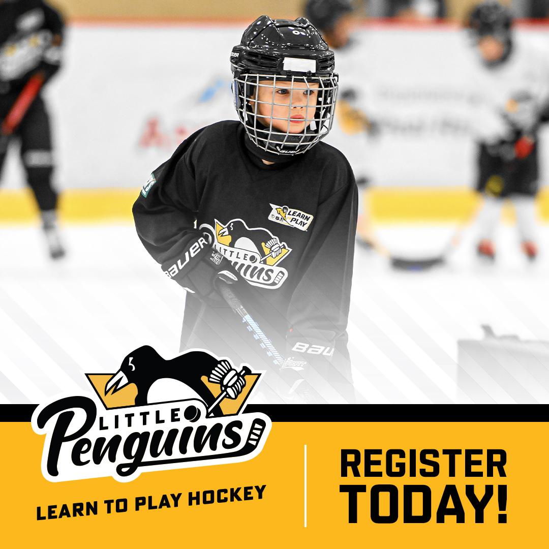 Little Penguins Learn to Play Hockey
