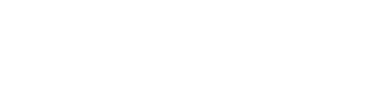 Trusted by 500+ companies