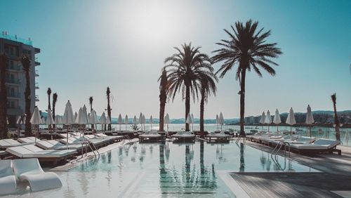 Modern outdoor pool area with white lounge chairs and umbrellas, tall palm trees, and a view of the sea and nearby buildings under a bright sky.