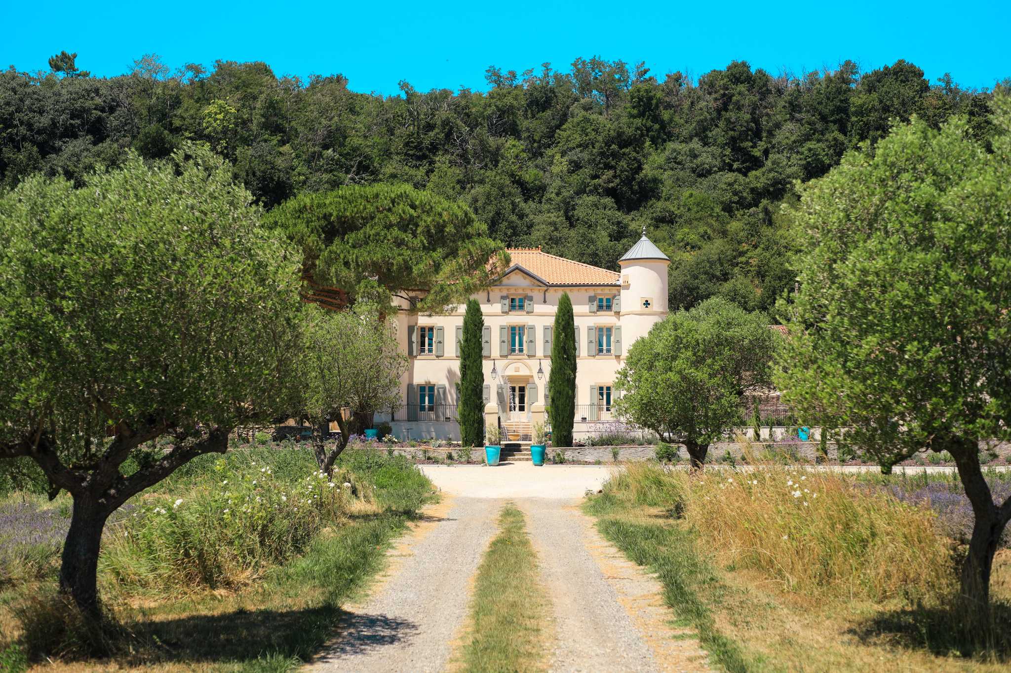 Champs de lavande bio en Provence avec un château en arrière-plan.