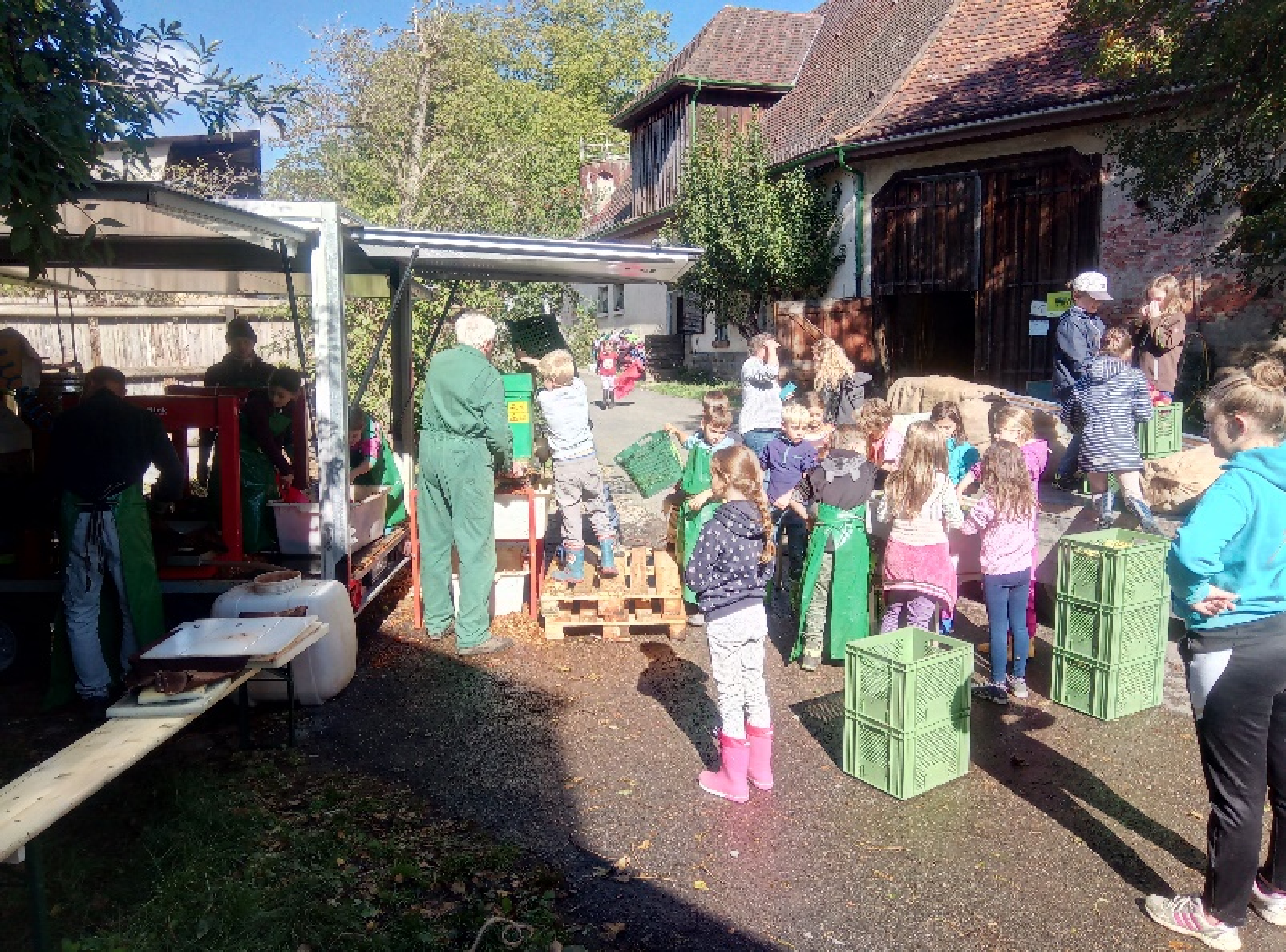 Viele Kinder helfen an der mobilen Mosterei in Waldhausen mit