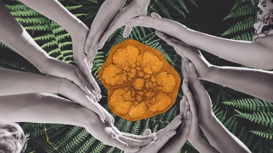 Participants in a sharing circle at Rythmia retreat