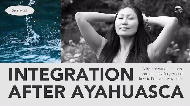  Rythmia Alumni: Integration after Ayahuasca