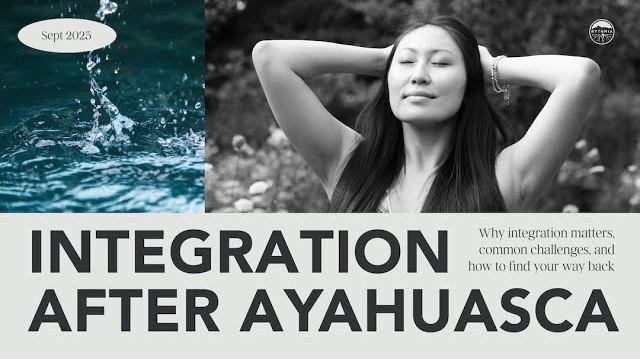  Rythmia Alumni: Integration after Ayahuasca